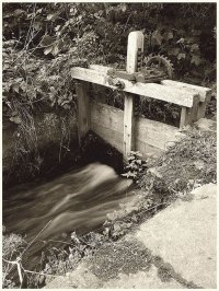 b70ae52ab692ce97e1fba29f404ee7f3.jpg b70ae52ab692ce97e1fba29f404ee7f3.jpg