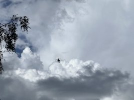 7244F43D-B538-42AC-ADE1-B509B4885249.jpeg