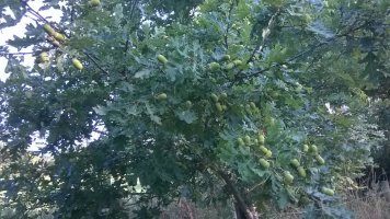 WP_20220914_17_37_23_Pro.jpg