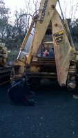WP_20171108_16_01_20_Pro.jpg