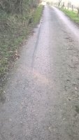 WP_20190108_10_58_29_Pro.jpg