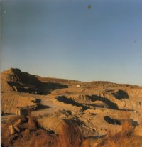 08.jpg