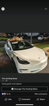 371146BF-601B-4EC2-AB69-A5980DF5B76F.png
