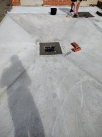 IMG_20220615_165315815.jpg