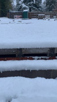 D8167209-6362-4F57-880C-460AF15781BE.jpeg