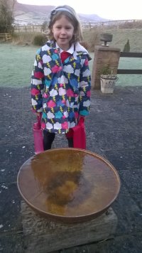 WP_20230117_08_49_24_Pro.jpg