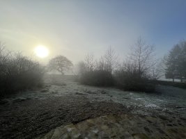 E2233DC5-F9A3-4AD2-85D2-8A2FB0E22046.jpeg