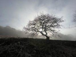 E6371D45-2426-4462-97CB-A08E5EFC513E.jpeg
