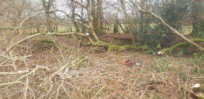 20230126_125214.jpg