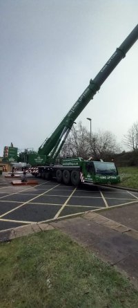 crane 5.jpeg