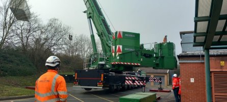 crane 4.jpeg