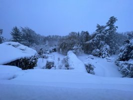173B2416-BE74-405E-93CB-96656FD9D7FC.jpeg