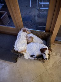 IMG_8808.jpeg
