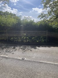 IMG_9098.jpeg