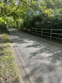 IMG_9101.jpeg