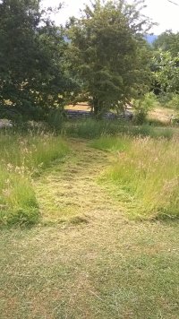 WP_20230617_16_50_29_Pro.jpg