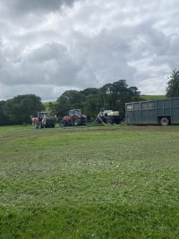 IMG_0376.jpeg