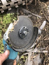 IMG_7587.jpeg