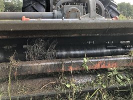 IMG_7618.jpeg