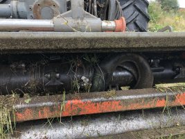 IMG_7614.jpeg