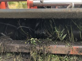 IMG_7606.jpeg