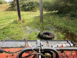 IMG_7608.jpeg
