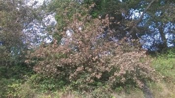 WP_20230803_17_38_57_Pro.jpg