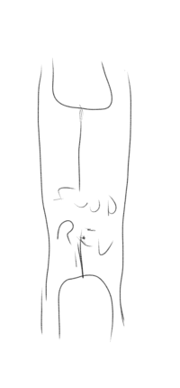 05ee49eb-34fc-451f-8418-70ef5f974544.png