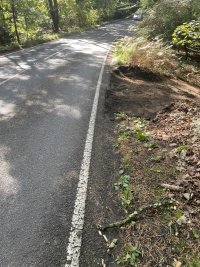 IMG_9708.jpeg