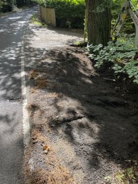IMG_9724.jpeg