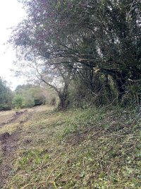 IMG_0664.jpeg