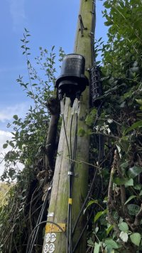 IMG_0131.jpeg