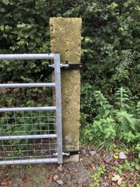 IMG_9024.jpeg