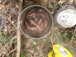 IMG_3219.jpeg