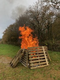 IMG_9390.jpeg