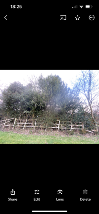 E900122A-4CA8-480D-B0D0-FD85B4A4B973.png