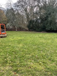 IMG_0140.jpeg