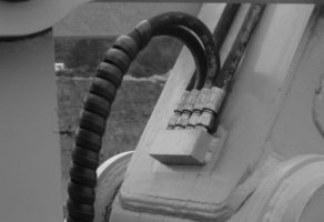 IMG_3714.jpeg