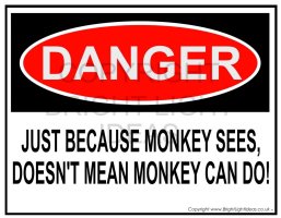 monkey see , monkey do .jpg
