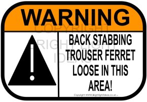 trouser ferret jpg.jpg