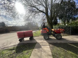 IMG_7336.jpeg