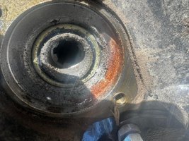 IMG_8173.jpeg