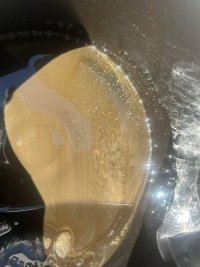 IMG_8177.jpeg