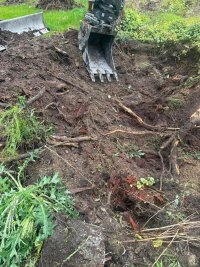 IMG_8179.jpeg