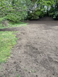 IMG_1096.jpeg