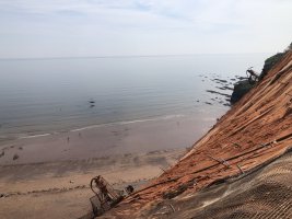 IMG_0395.jpeg