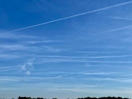 6578DB88-ACF2-4757-BE1D-0C982EA014B2.jpeg