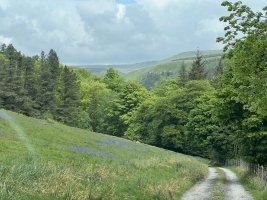 IMG_8813.jpeg