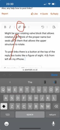 IMG_9571.jpeg