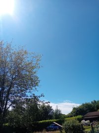 20240620_113143.jpg